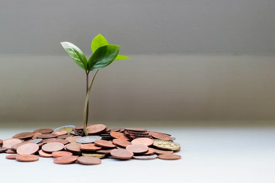 An image of a plant growing out of a pile of money, to symbolize fundraising.