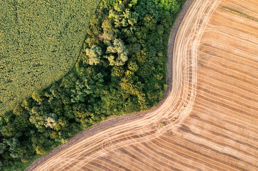 An aerial shot of trees and land